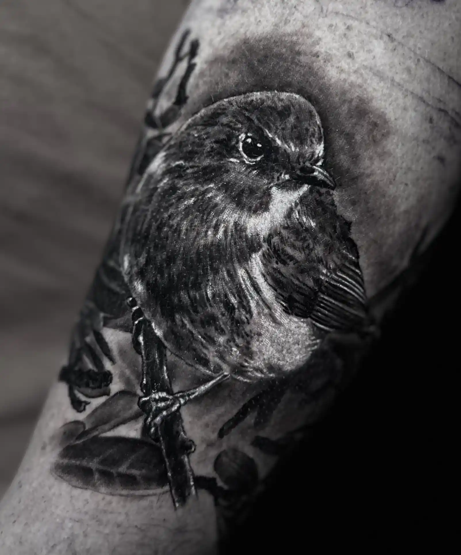 Tatouage réaliste noir et gris d'un oiseau sur le bras — Jeremy Lorenzato, Art du Noir Nice