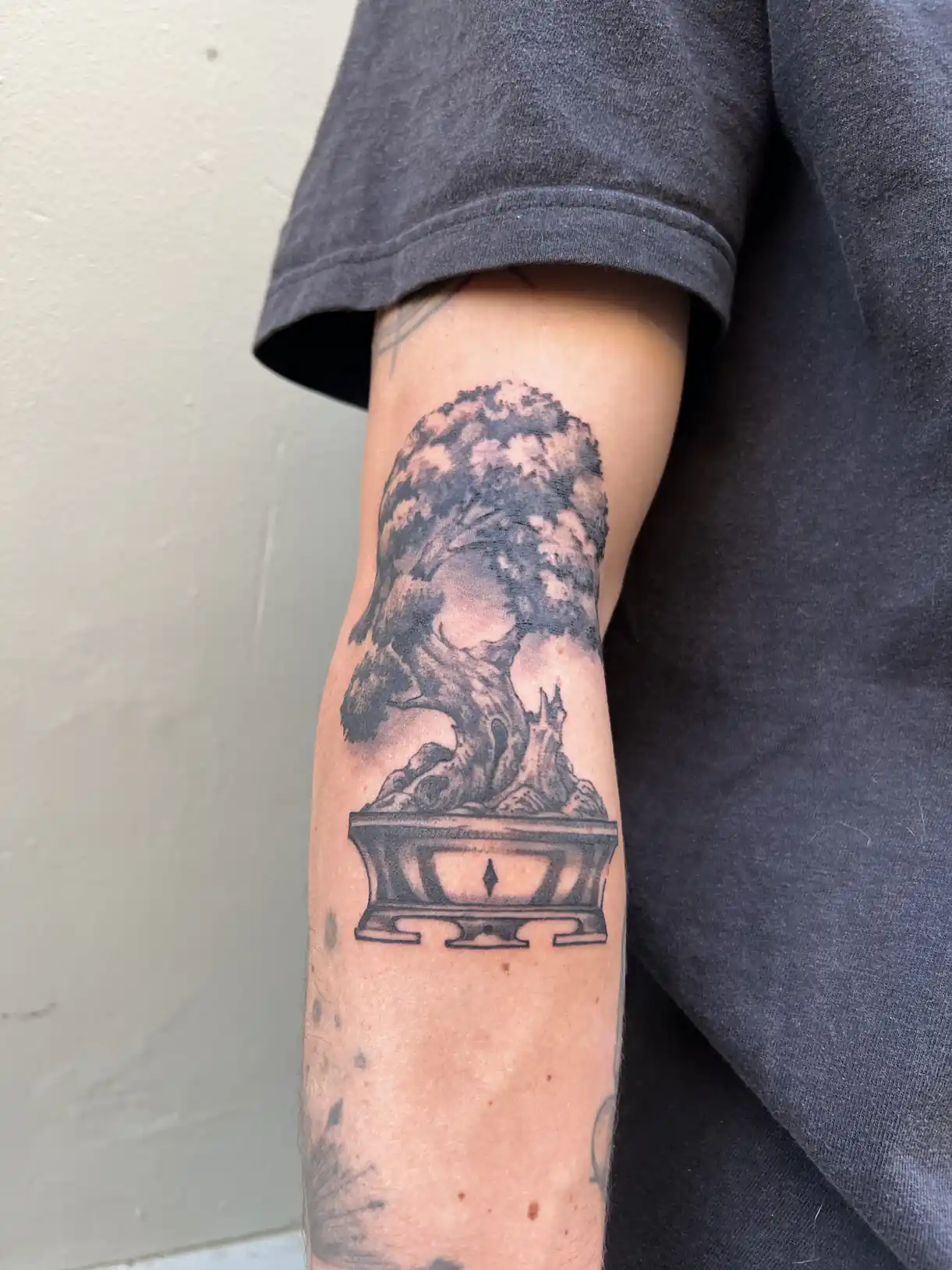 Tatouage japonais noir et gris d'un bonsaï sur l'avant-bras — Mr Yoh, Art du Noir Nice